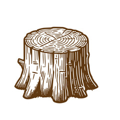 Tree stump vector, stump . stump line art vector illustration