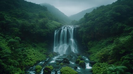 Misty waterfall cascades down lush rainforest mountainside