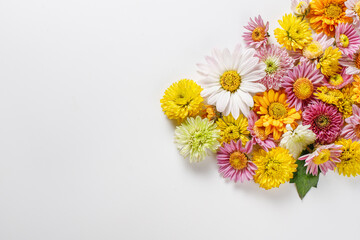 Beautiful flower composition from different field flowers. Flower card.