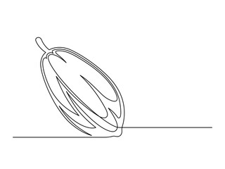 Continuous one line cacao beans plant isolated on white background. Simple vegetable silhouette. Hand drawn cacao beans outline. Vector illustration