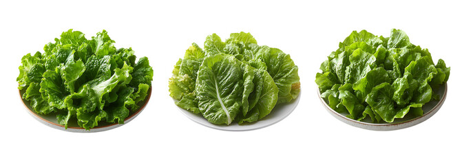 Fresh Green Lettuce on Plates, Perfect for Healthy Eating and Organic Food Concepts, Isolated on Transparent Background