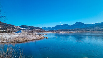White swans gliding on calm river Drava winding through Rosental valley surrounded by snow-capped mountains Karawanks, Sankt Jakob im Rosental, Carinthia, Austria. Winter wonderland in Austrian Alps