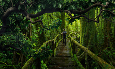 Obraz premium Backpacker in the rain forest