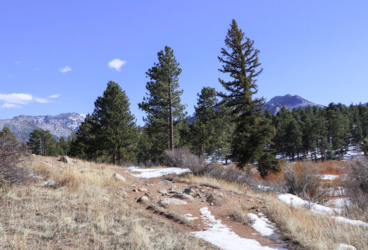 Hiking trail in Rocky Mountain National Park, Estes Park, Colorado.