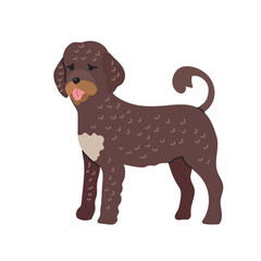 Portuguese water dog icon clipart avatar logotype isolated illustration