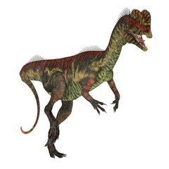 Dilophosaurus Dinosaur Walking - Dilophosaurus was a large carnivorous theropod dinosaur that lived in Arizona, USA during the Jurassic Period.