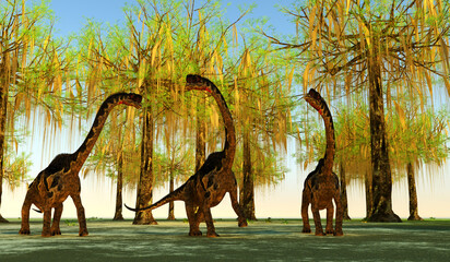 Europasaurus European Dinosaurs - Europasaurus was a sauropod herbivorous dinosaur that lived in Germany, Europe during the Jurassic Period. A herd is among a forest of moss covered trees. © Catmando
