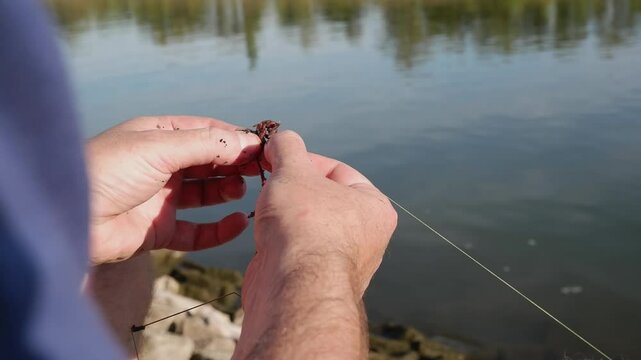 Close-up of a fisherman putting a worm on a hook to catch fish. Fishing in the river. A man fisherman catches fish. Rural holiday concept