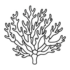 Fototapeta premium Elegant Coral Line Art Designs