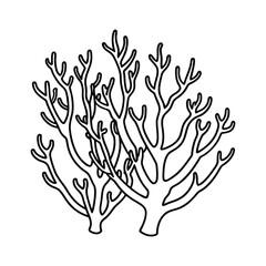 Fototapeta premium Elegant Coral Line Art Designs