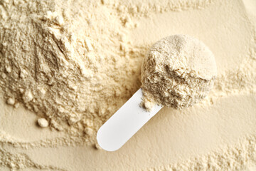 Whey protein powder in a measuring spoon, top view