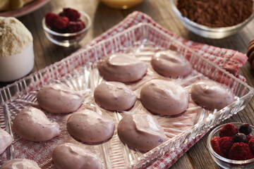 Preparation of alternative healthy desserts from yogurt, whey protein and forest berries