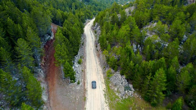 A car drives along a winding dirt road through a dense forest, surrounded by lush green trees. Captured from above, this scene evokes a sense of nature and adventure.
