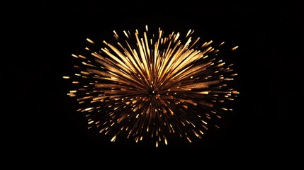Obraz premium Stunning golden fireworks burst against a dark sky, creating a vibrant, celebratory display.