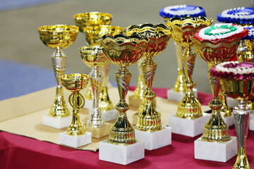 Group of shiny golden trophies in a rows waiting for competitors and winners