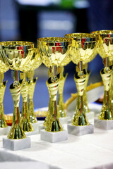 Group of shiny golden trophies in a rows waiting for competitors and winners