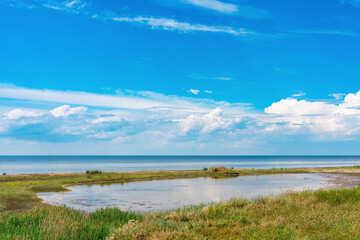 Beautiful wild sea beach covered with green grass