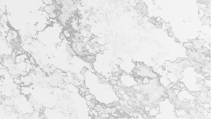 Fototapeta premium Luxurious marble countertop with swirling gray and white veins polished and reflective