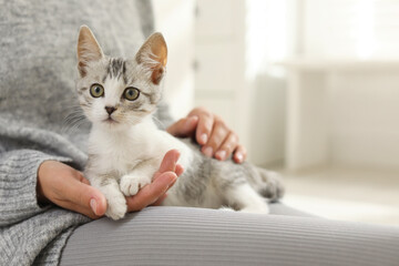 Woman with cute kitten at home, closeup