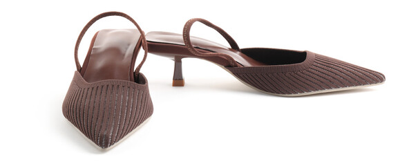 Pair of stylish women's shoes isolated on white