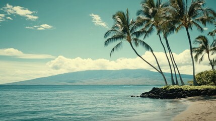 Tropical beach scene with palm trees, ocean, and mountain in background.