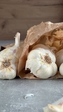 Fresh organic garlic bulbs and metal garlic press. Close up. 