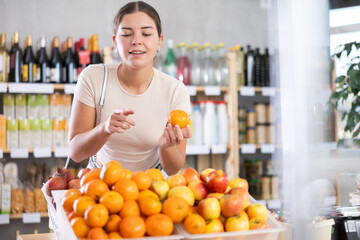Fototapeta premium Dark-haired girl buys tangerine in store. She takes ripe fruits out of display case, inspects goods and buys tangerine . She picks ripe fruits from large box in stores storage