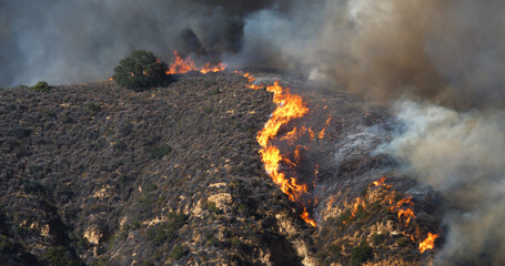 Malibu Wildfire, Pacific Palisades, Woodley Fire, California USA