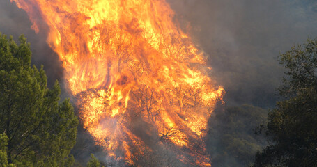 Malibu Wildfire, Pacific Palisades, Woodley Fire, California USA