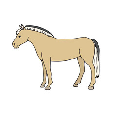 Vector hand drawn sketch doodle colored fiord horse isolated on white background