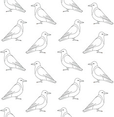 Vector seamless pattern of flat hand drawn outline crow isolated on white background