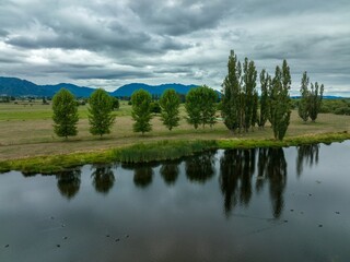 Peaceful rural scene. Ducks on a calm lake, reflecting trees. Cloudy day. LAKE ANIWHENUA, MURUPARA, BAY OF PLENTY, NEW ZEALAND