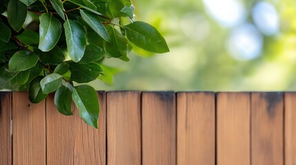 Obraz premium Weathered fence adorned with leafy vine creates perfect backdrop for text