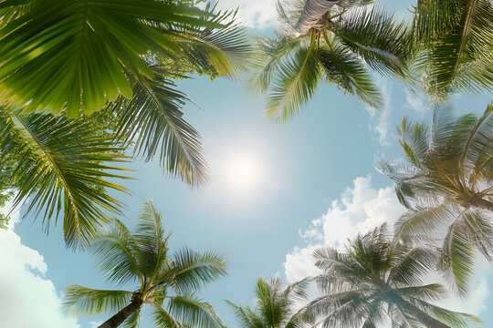 Beautiful tropical beach with palm trees and a blue sky