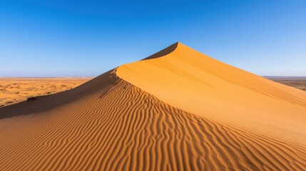 Wilderness and desert pristine, A golden sand dune rises against a clear blue sky, showcasing the beauty of desert landscapes and textured patterns in the sand.