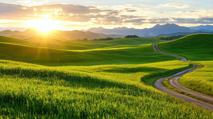 Obraz premium Winding road through rolling hills at golden hour with sunlight