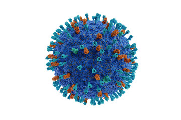 Human metapneumovirus or HMPV, virus causing upper and lower respiratory infection. 3d illustration medical imagery concept.