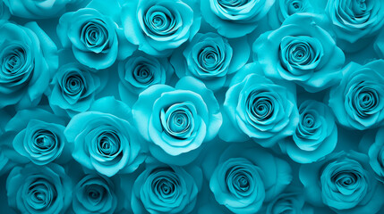 Blue and turquoise roses