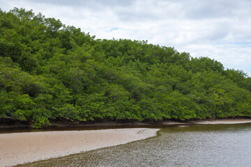 Porto de Pedras, Alagoas, Brazil. July, 19, 2024. Views of Patacho beach. Views of the areas during low tide between the mouth and the mangroves of the Tatuamunha River.