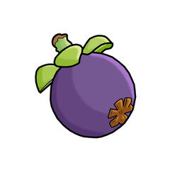 fruits