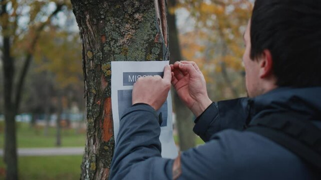 Lost pet owner sets dog photo poster of losing husky puppy on tree in park. Man pasting posters of the missing dog. Flyer with information about the missing dog hangs on a tree in the park. Lost dog.
