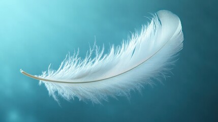 A White Feather Floating Gracefully Against a Turquoise Background with Soft Textures and Light Reflections