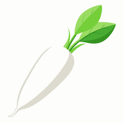 white long radish