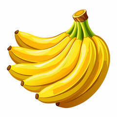 bananas isolated on white vector
