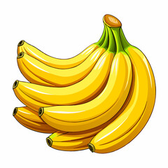 bananas isolated on white vector