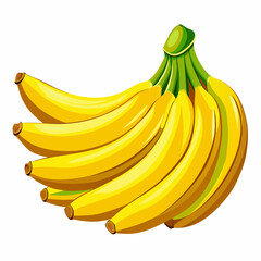 bananas isolated on white vector