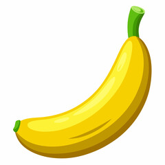 bananas isolated on white vector