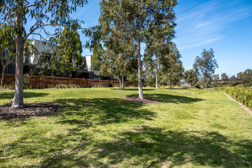 Australian native landscape featuring eucalyptus trees casting shadows on a sunlit suburban green space in a local park, creating a natural boundary with modern townhouses in the background.Point Cook