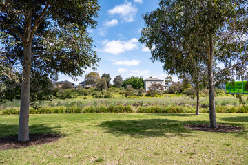 A well-maintained grass lawn with tree shade in a nature reserve or suburban neighborhood park in Australia, featuring a community outdoor green space with houses in the distance. Point Cook,Melbourne