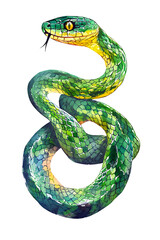 Fototapeta premium A vibrant, stylized illustration of a green and yellow snake coiled in an artistic pose.
